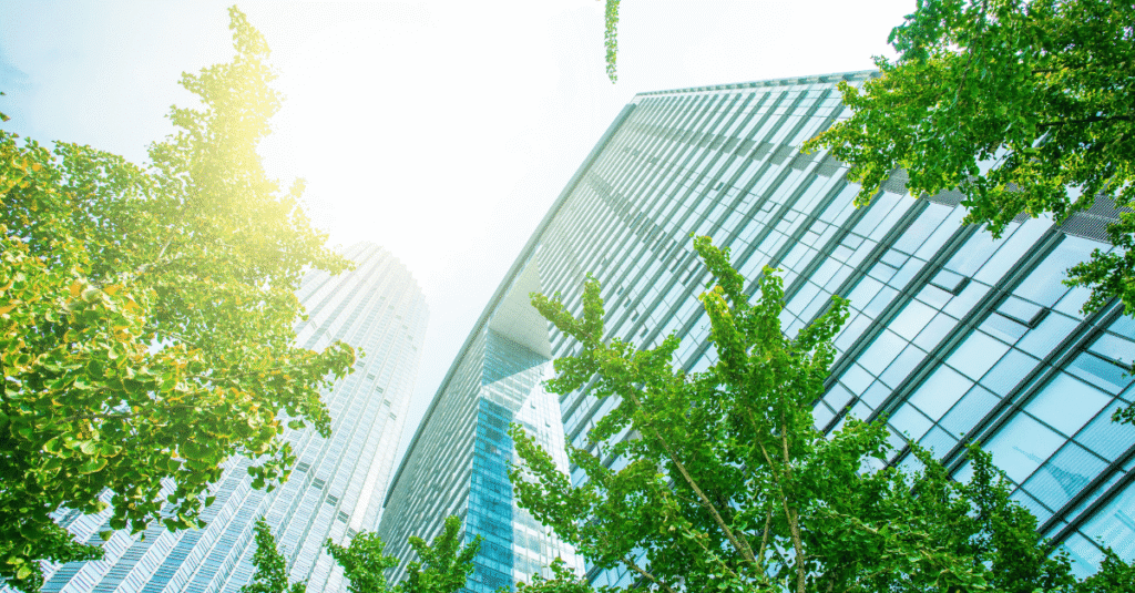 Ilustration for Building with B Corp: How B Corp can help deliver a sustainable real estate sector