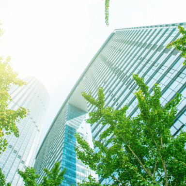 Illustration for Building with B Corp: How B Corp can help deliver a sustainable real estate sector