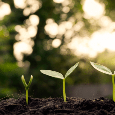 Illustration for The government’s delicate balancing act between growth, housing and net zero obligations